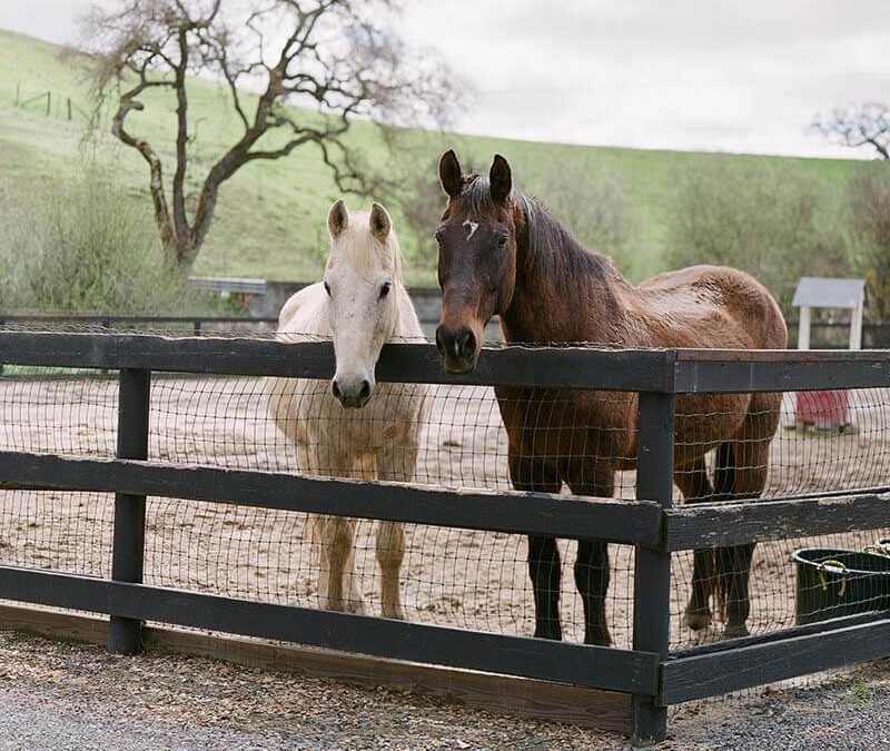 H1: Mein erster Beitrag